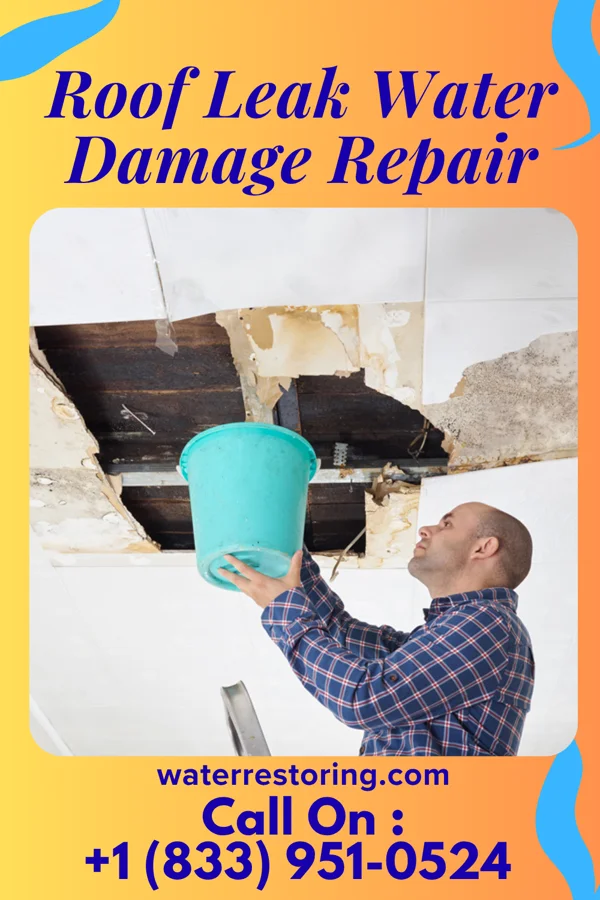 Roof Leak Water Damage Repair in Crystal City, TX