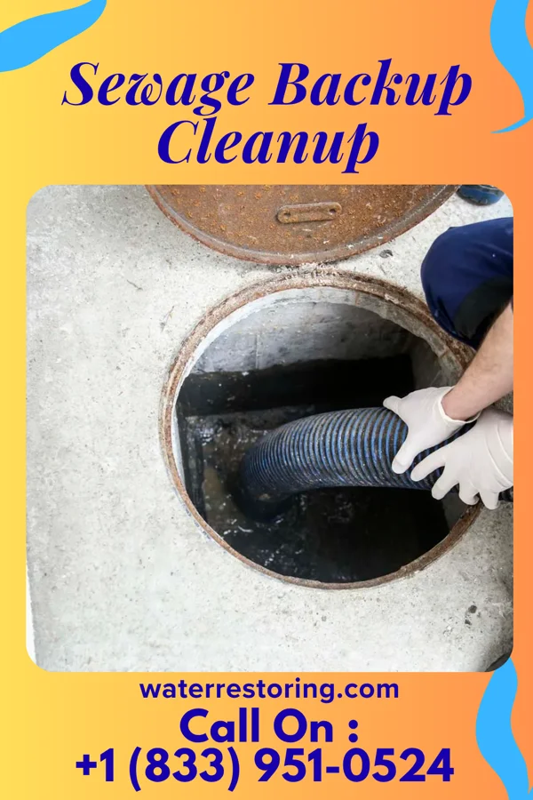 Sewage Backup Cleanup in Crystal City, TX